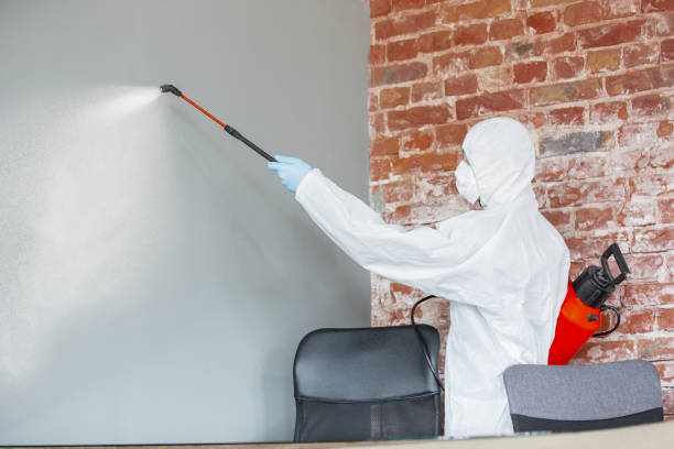 Best Residential Mold Inspection & Testing  in Lake Delta, NY
